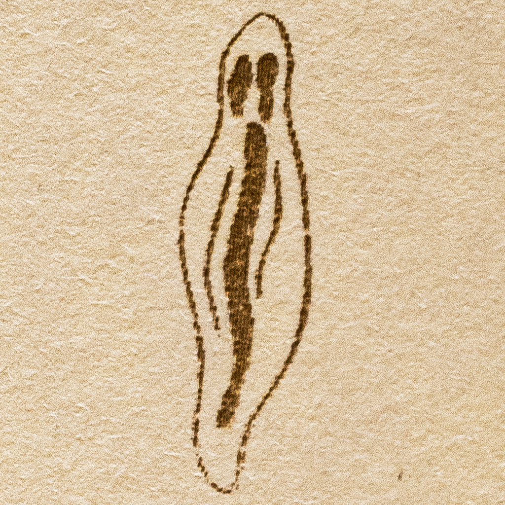 GHOST VULVAS