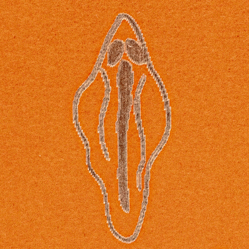 GHOST VULVAS